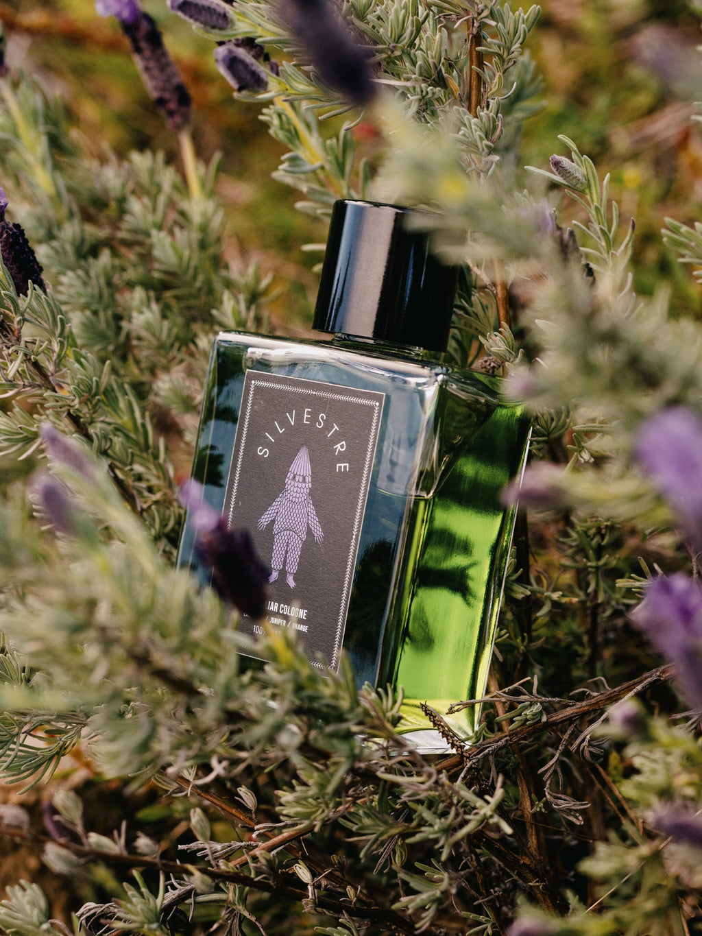 Silvestre Lavender - Bloom Perfumery London