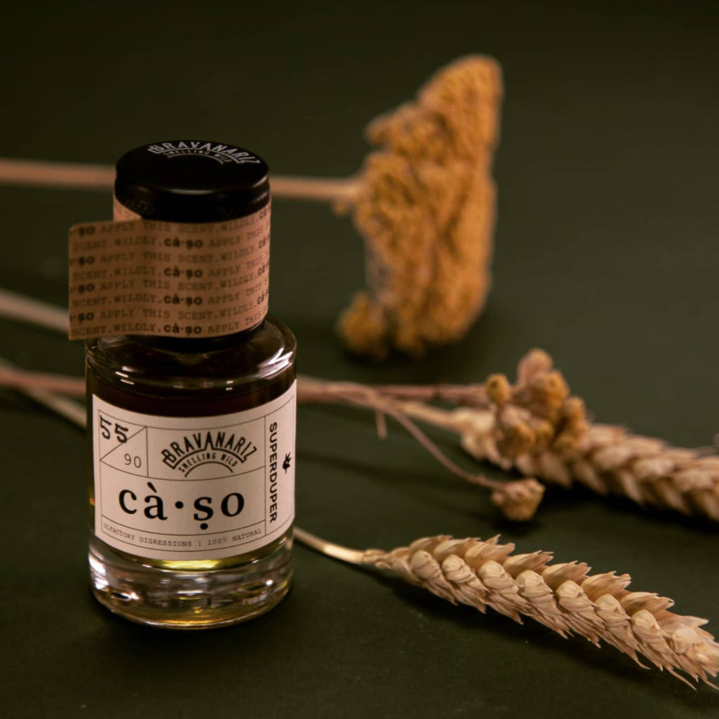 CÀ·SO