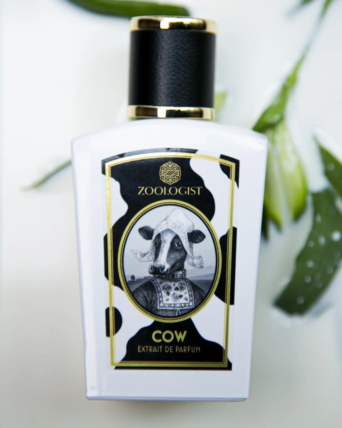 Cow (Limited Edition)