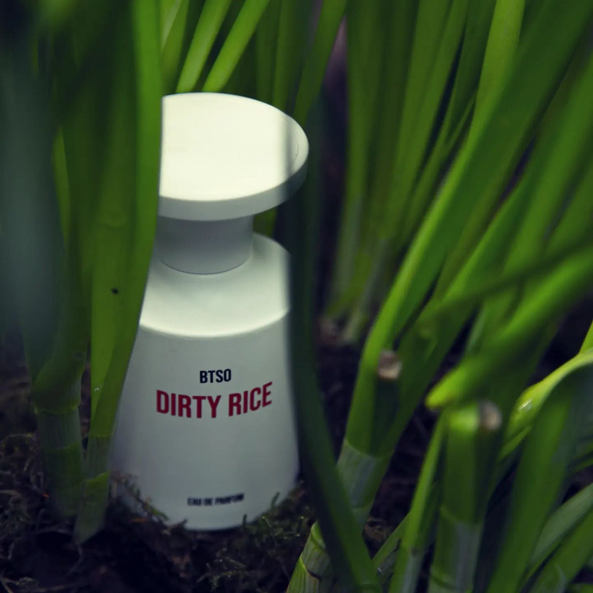 DIRTY RICE