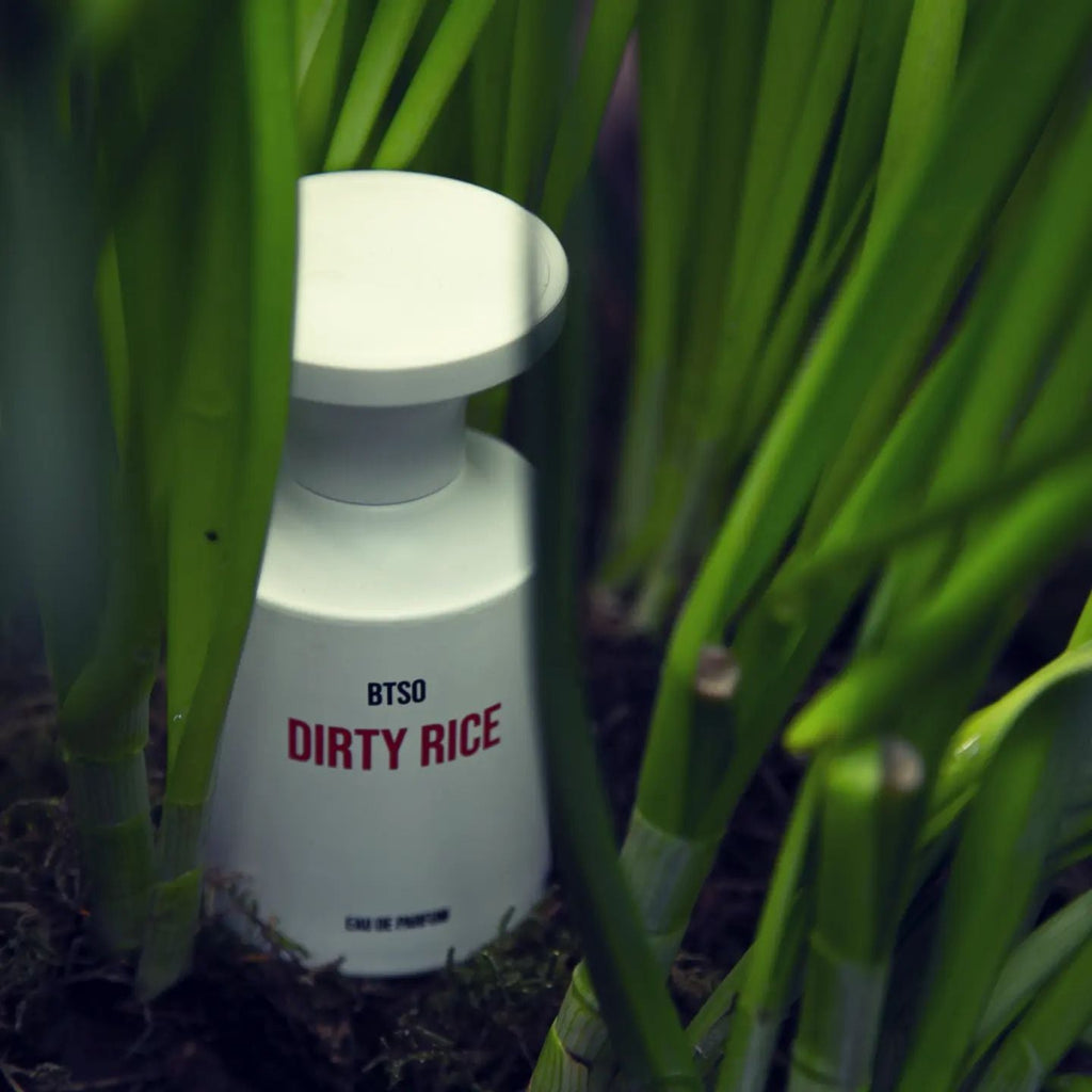 DIRTY RICE