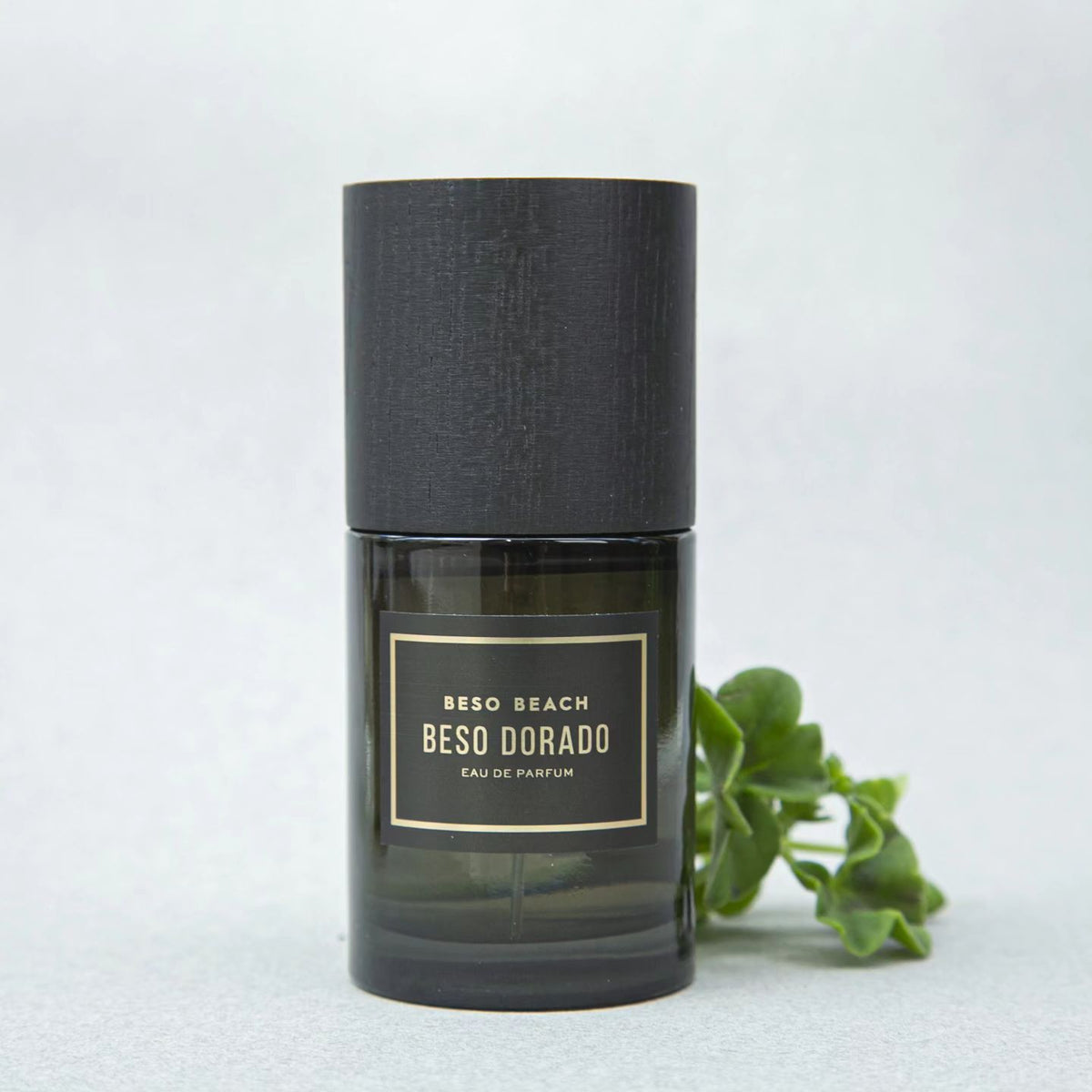 Beso Dorado