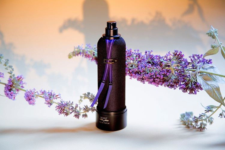Cashmere Beige - Bloom Perfumery London