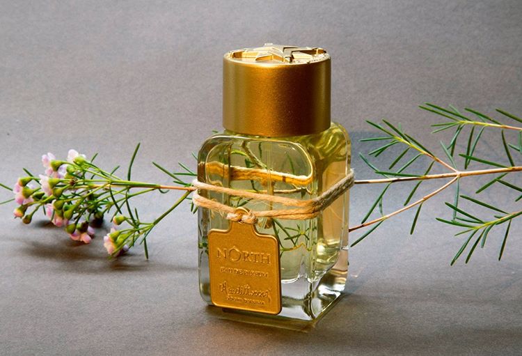 North - Bloom Perfumery London #01