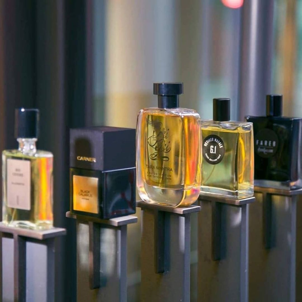 Extracting roots: perfume materials from under the ground - Bloom Perfumery London