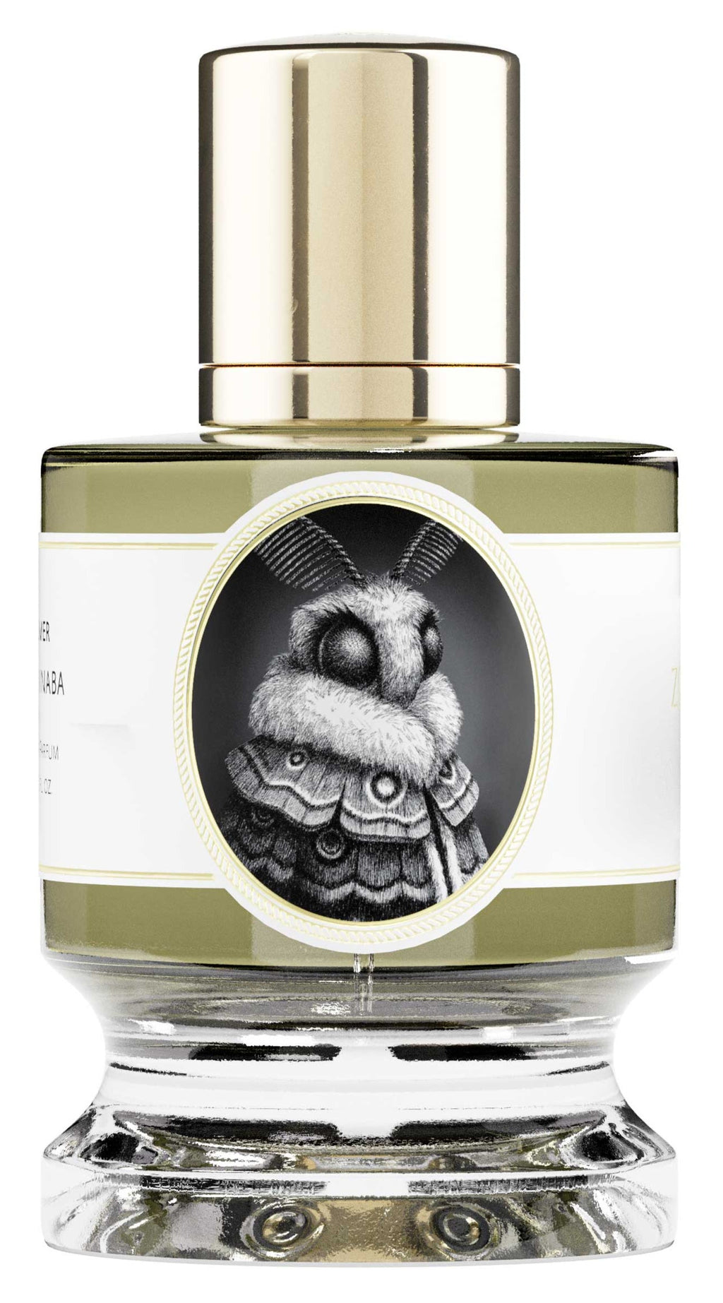 Moth