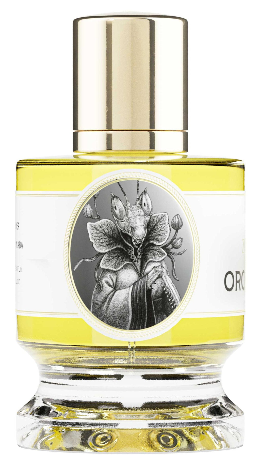 Orchid Mantis