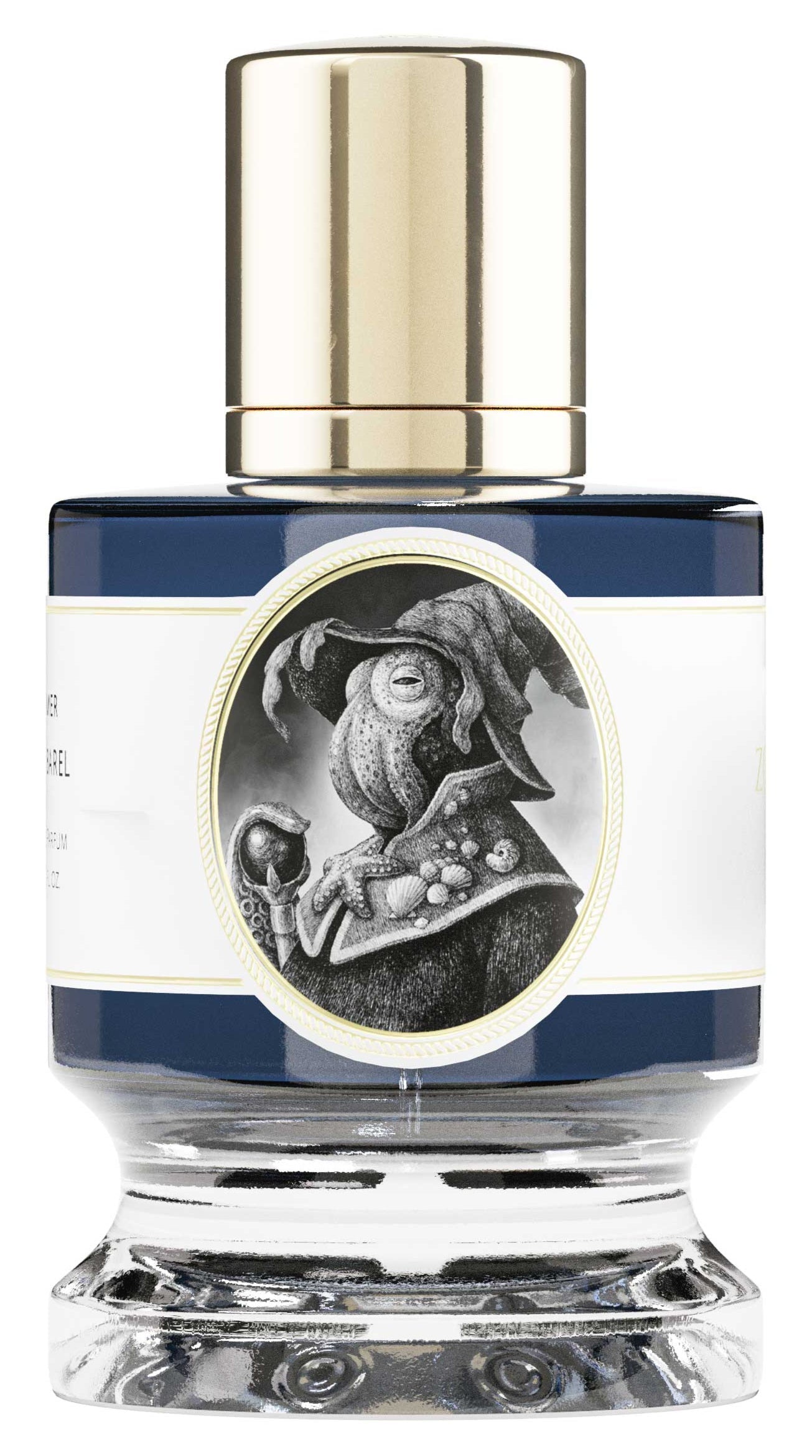 Squid