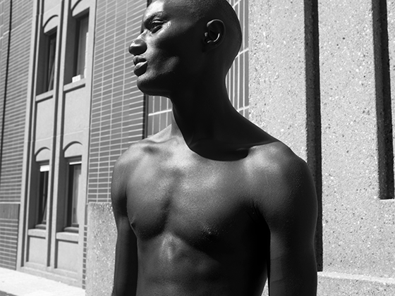 802 Nymphéa Céleste