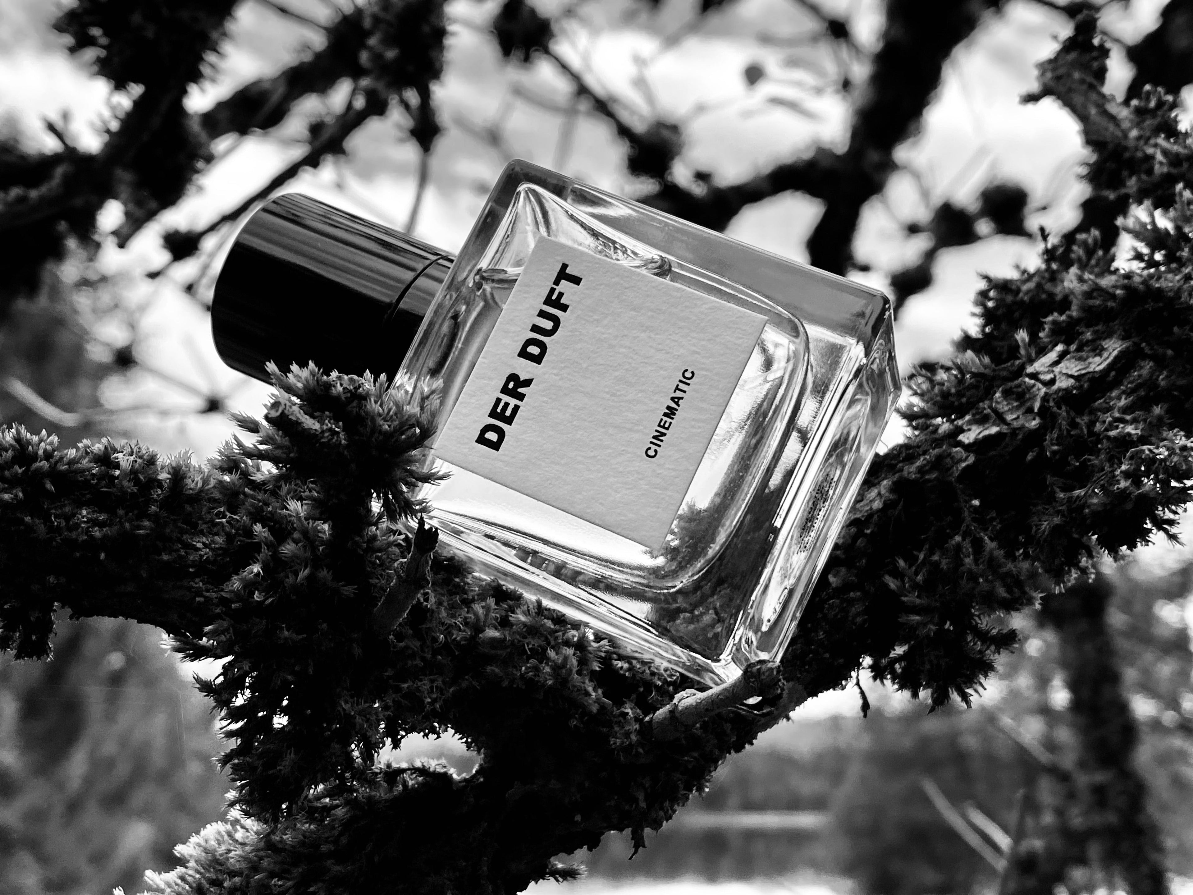 Cinematic - Bloom Perfumery London