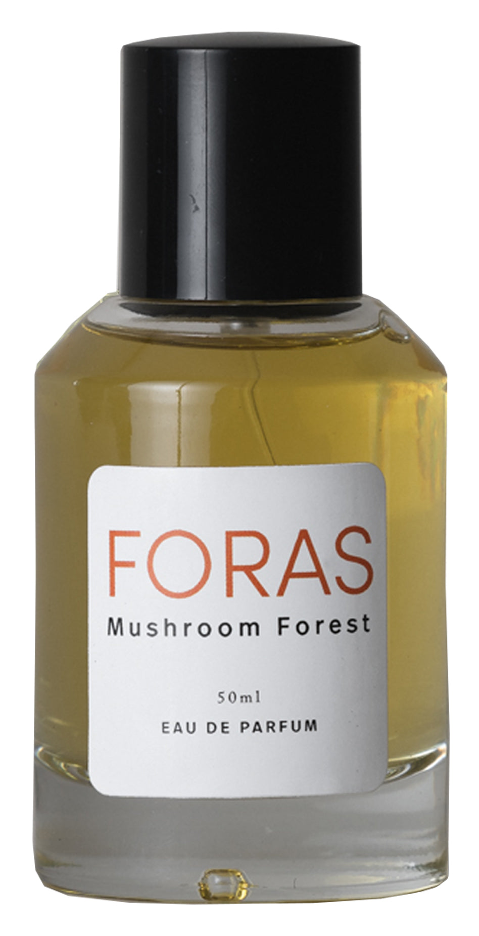 Mushroom Forest