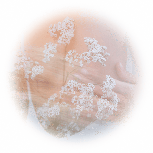 Chasing Light 19.10