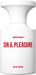 SIN&PLEASURE