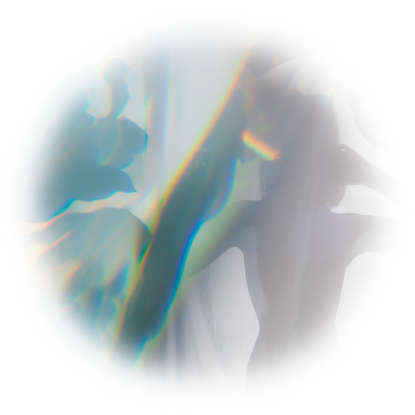 Chasing Light 19.10
