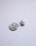 White Ambergris 0.4 g /Sold - Bloom Perfumery London