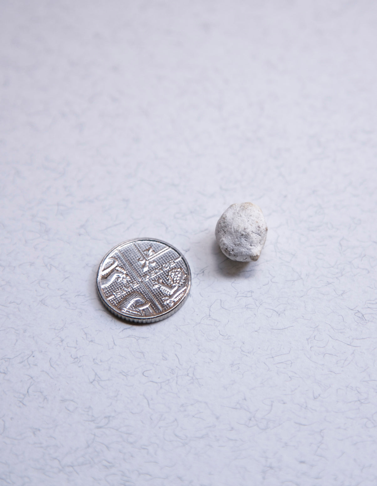 White Ambergris 0.4 g /Sold - Bloom Perfumery London