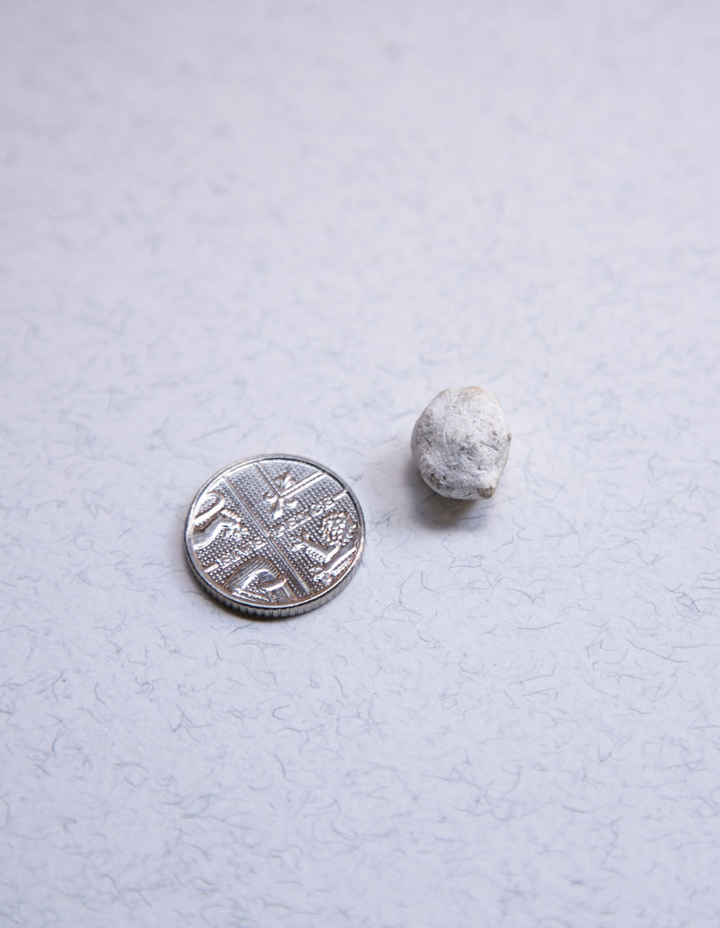 White Ambergris 0.4 g /Sold - Bloom Perfumery London