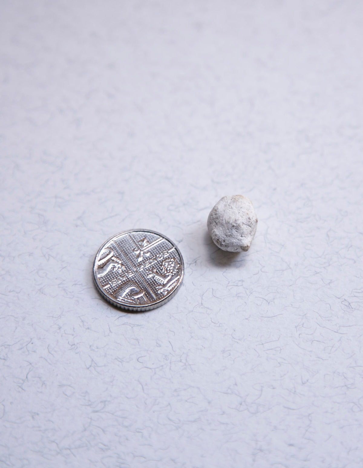 White Ambergris 0.4 g /Sold - Bloom Perfumery London