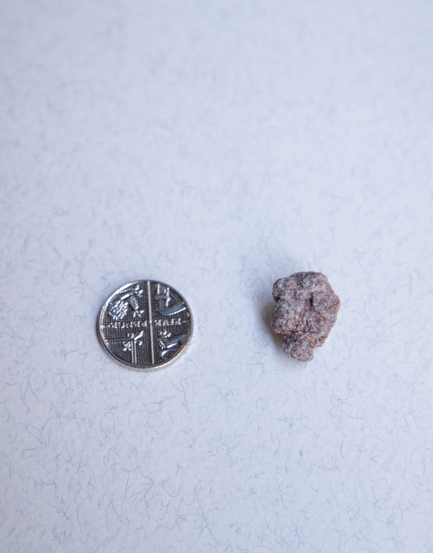 White Ambergris 0.71 g SOLD - Bloom Perfumery London