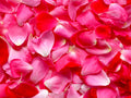 A Rose for Every Nose Pack