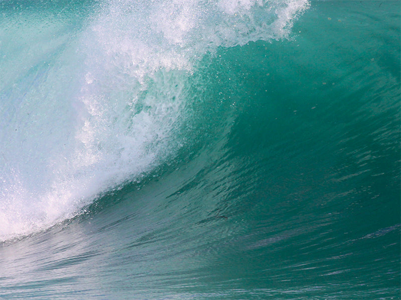 Seaspray and saltwater Pack
