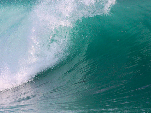 Seaspray and saltwater Pack