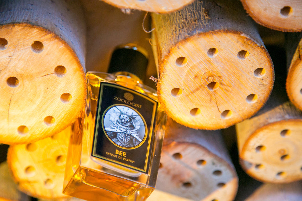 Honey Quest Pack - Bloom Perfumery London