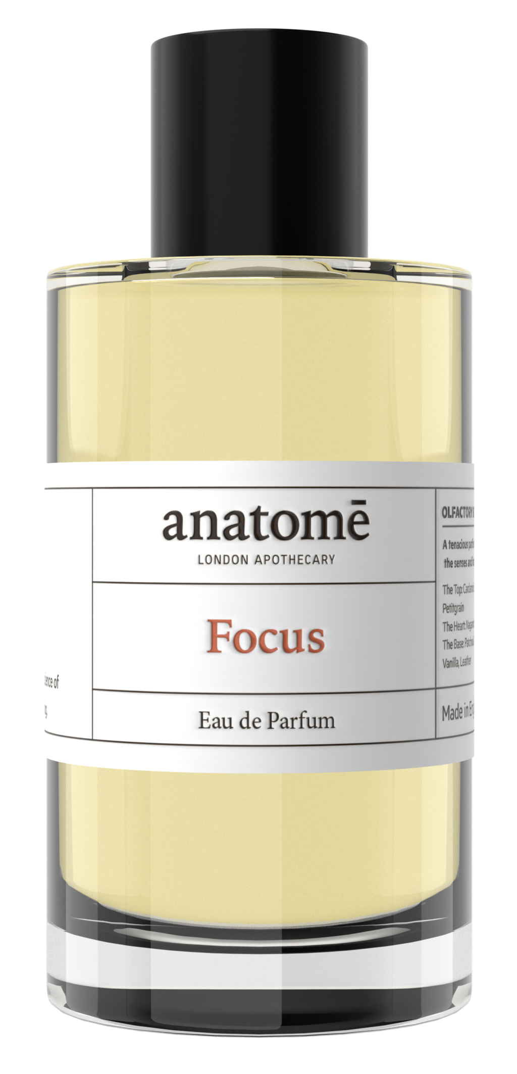 Focus