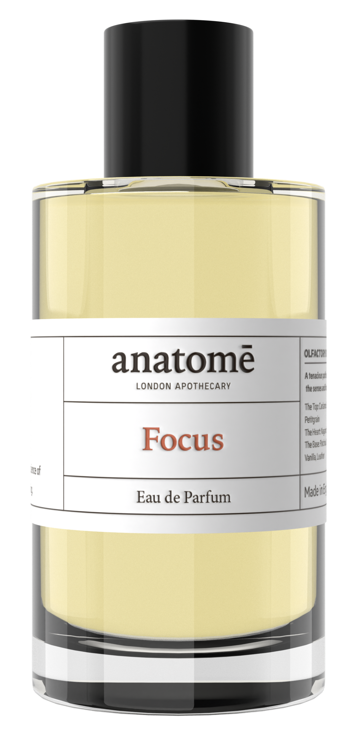 Focus