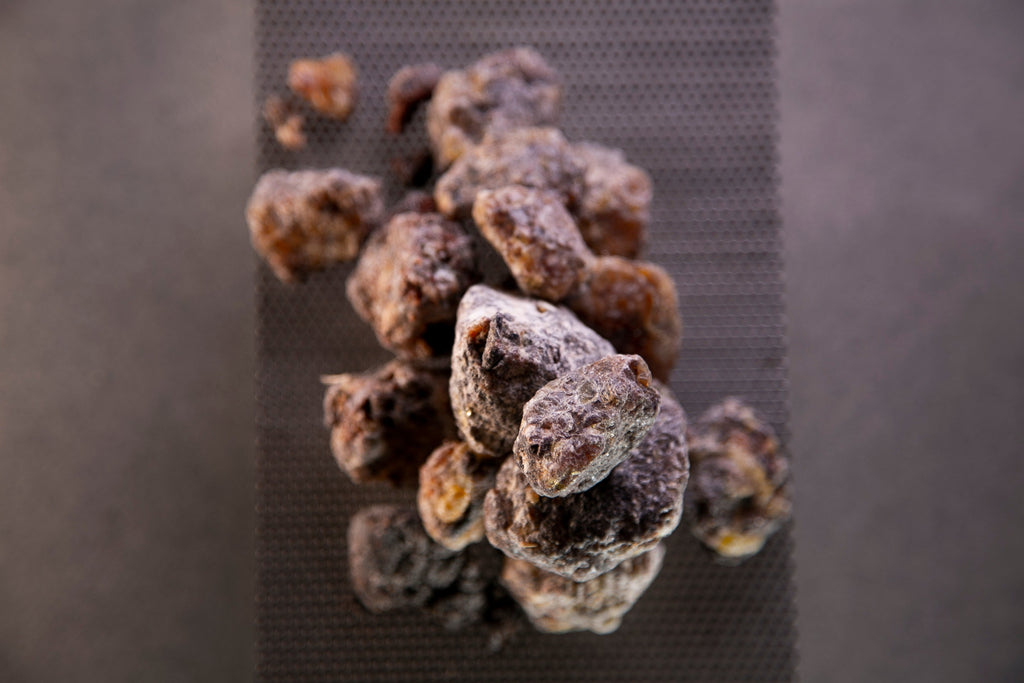 Incense across eras and lands - Bloom Perfumery London