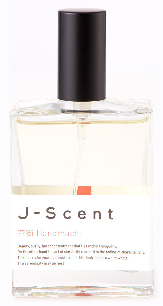 Hanamachi (Geisha Districts)