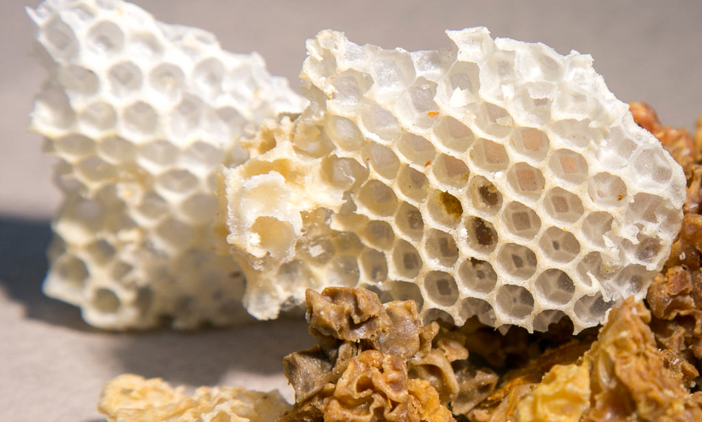 Honey Quest Pack - Bloom Perfumery London