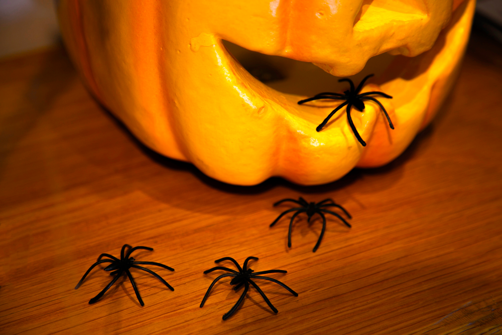 Dare-to-wear perfumes - Halloween 2020 special! - Bloom Perfumery London