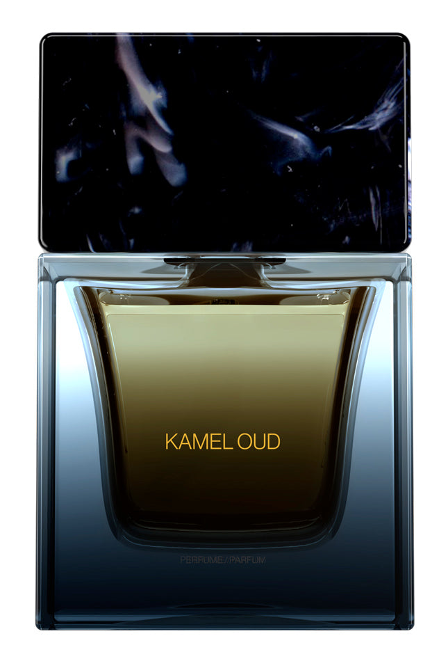 Kamel Oud