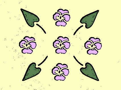 Violets Pack - Bloom Perfumery London