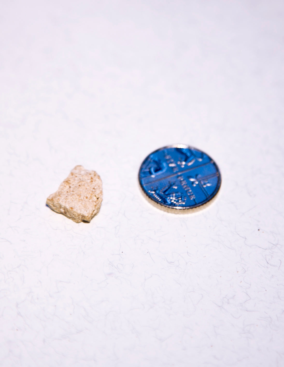 White Ambergris 0.23g /Sold - Bloom Perfumery London