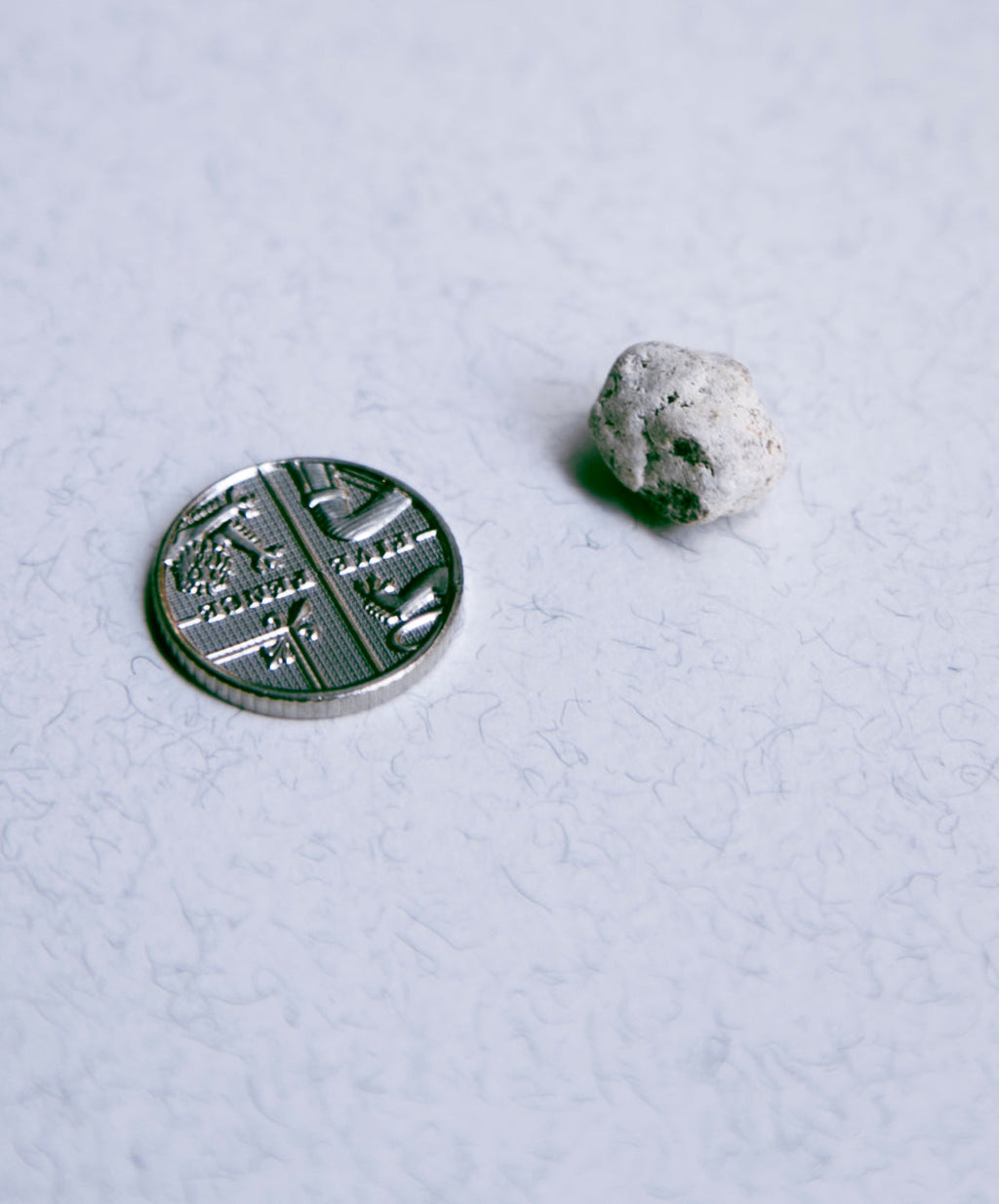 White Ambergris 0.33 g SOLD - Bloom Perfumery London