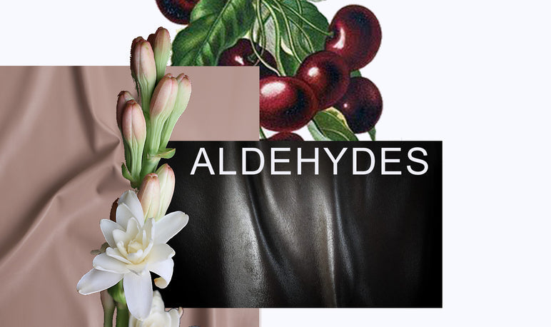 Aldehydes Pack - Bloom Perfumery London