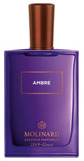 Ambre