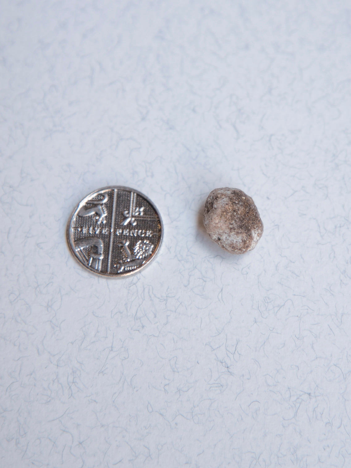 White Ambergris 0.51 g SOLD - Bloom Perfumery London