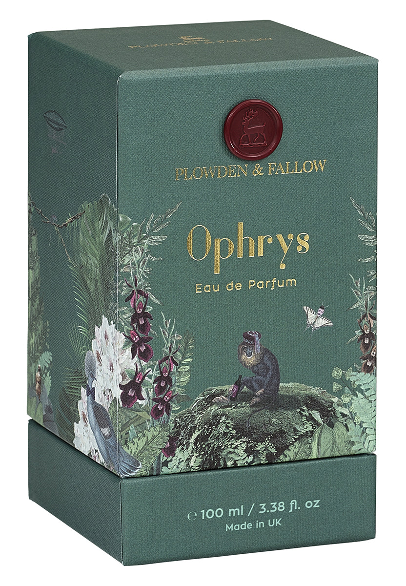 Ophrys