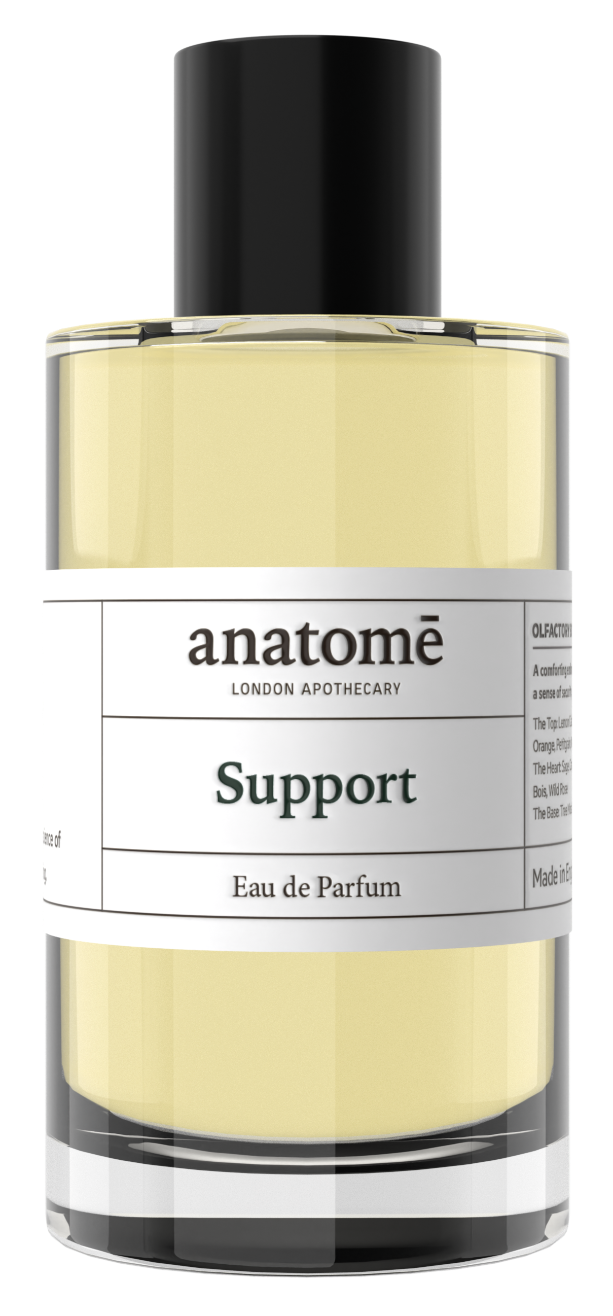 Support
