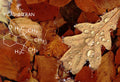 Cashmeran Pack - Bloom Perfumery London