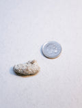 White Ambergris 0.77 g SOLD - Bloom Perfumery London