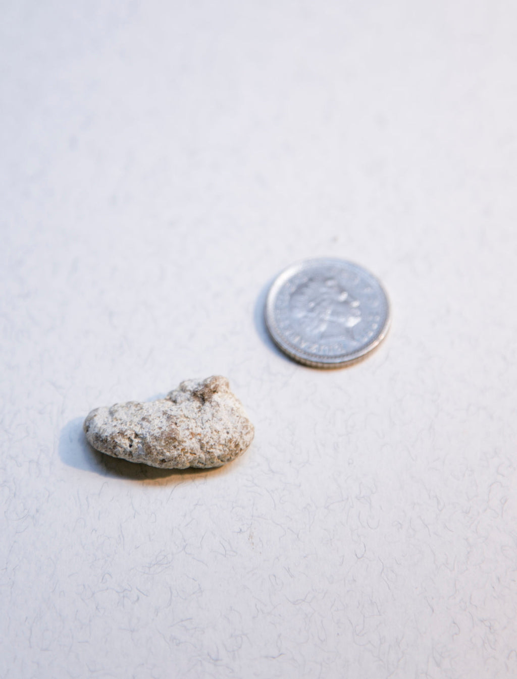 White Ambergris 0.77 g SOLD - Bloom Perfumery London