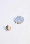 White Ambergris 0.12 g SOLD - Bloom Perfumery London