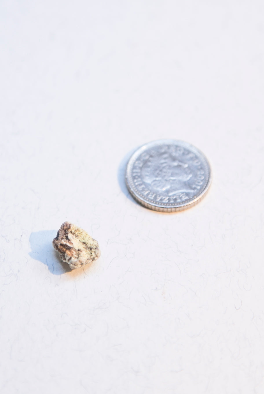 White Ambergris 0.12 g SOLD - Bloom Perfumery London