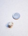 White Ambergris 0.41 g SOLD - Bloom Perfumery London