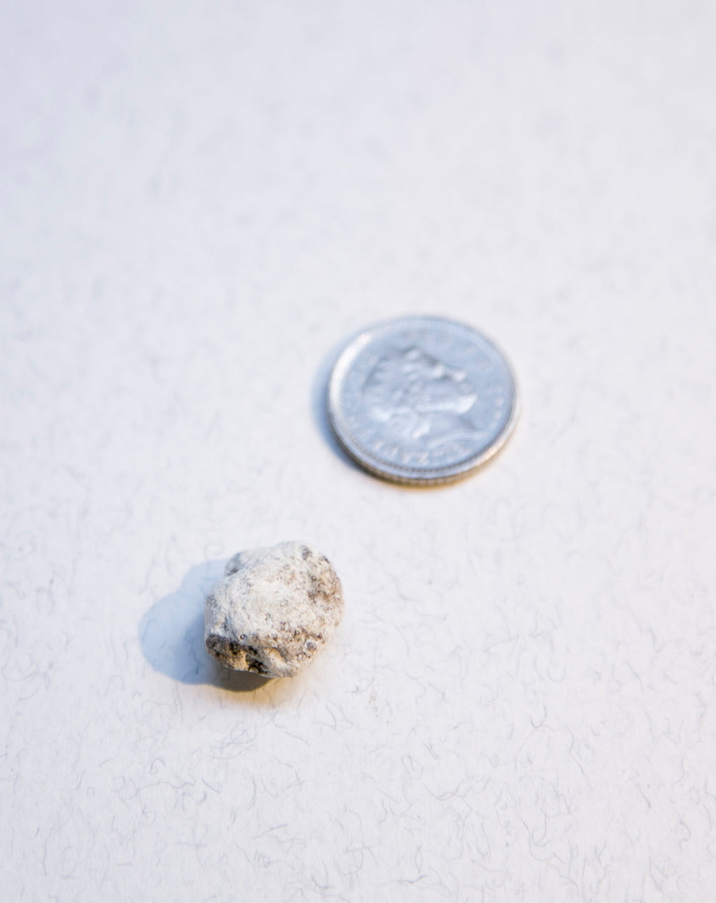 White Ambergris 0.41 g SOLD - Bloom Perfumery London
