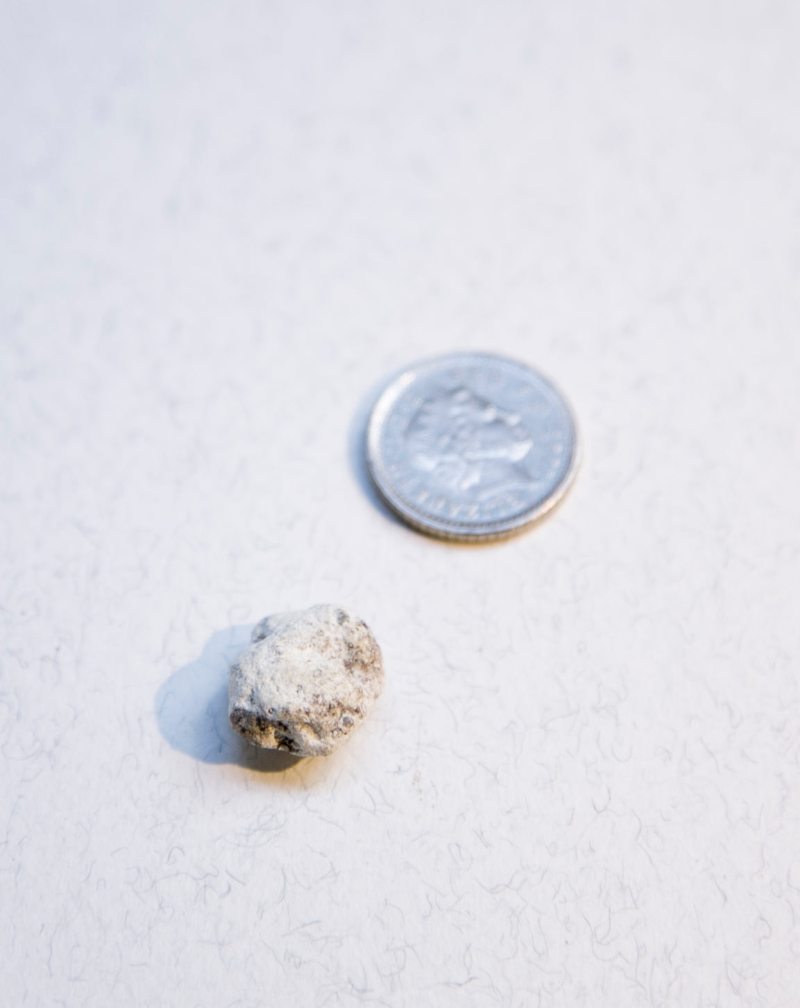White Ambergris 0.41 g SOLD - Bloom Perfumery London